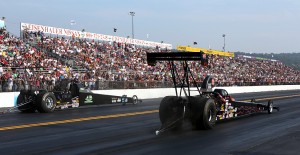 Robin Samsel - TAD Maple Grove