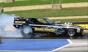 Dark Horse - photo by Dragphotos