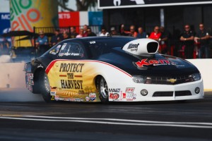 Roger Brogden - Las vegas