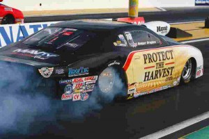 Roger Brogdon - Gainesville