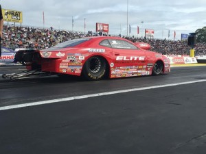 Erica Enders-Stevens - Englishtown