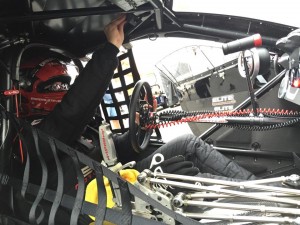 Erica Enders-Stevens - Englishtown